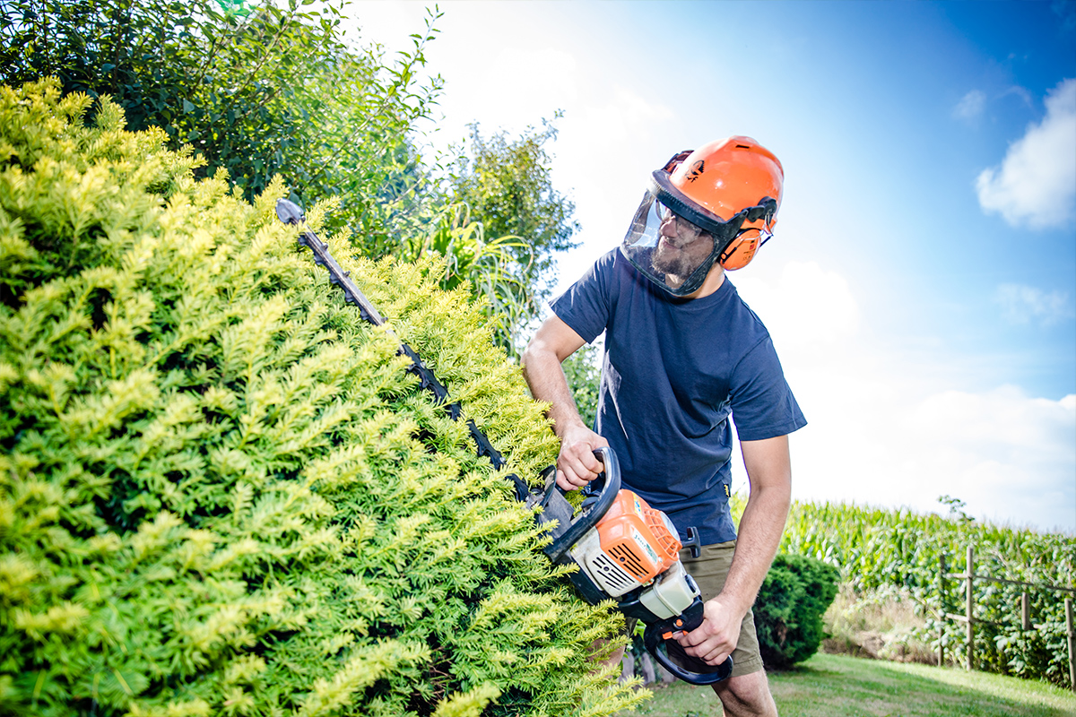 Praktische Gartenpflege: Eine Hecke wird mit einer Heckenschere geschnitten